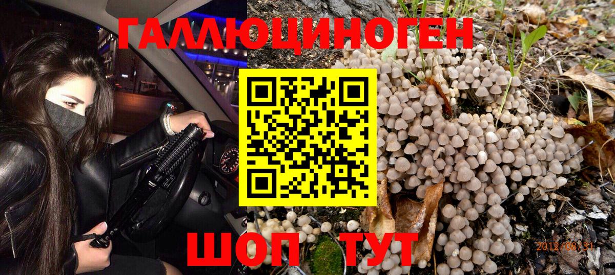 Псилоцибиновые грибы GOLDEN TEACHER  Псилоцибиновые грибы GOLDEN TEACHER  Вход с VPN  Петрозаводск 